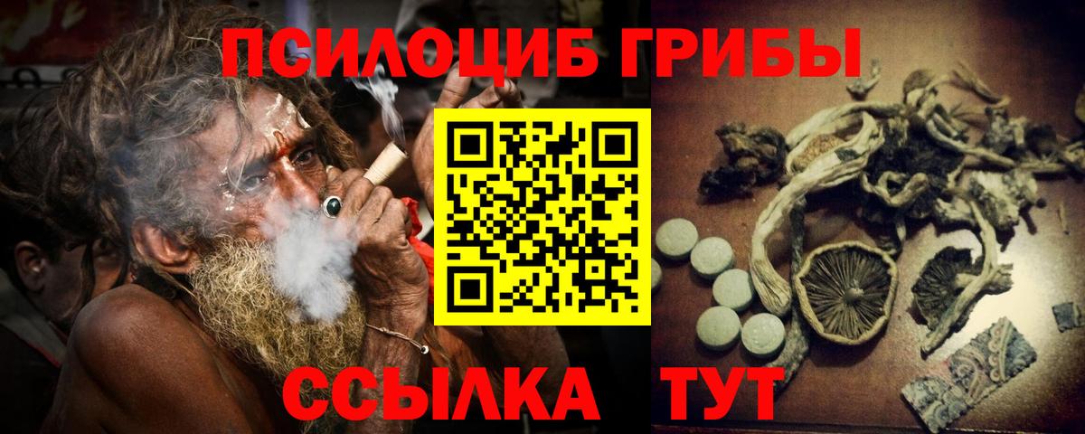 Псилоцибиновые грибы MAGIC MUSHROOMS  Вход с VPN  Верхний Уфалей 